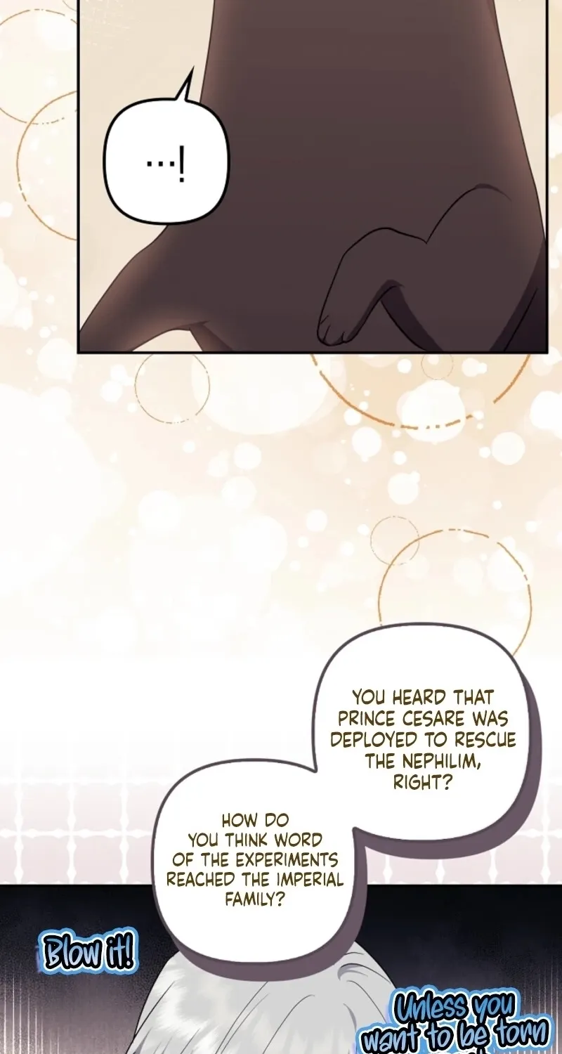 Catherine's Key to a Happy Life