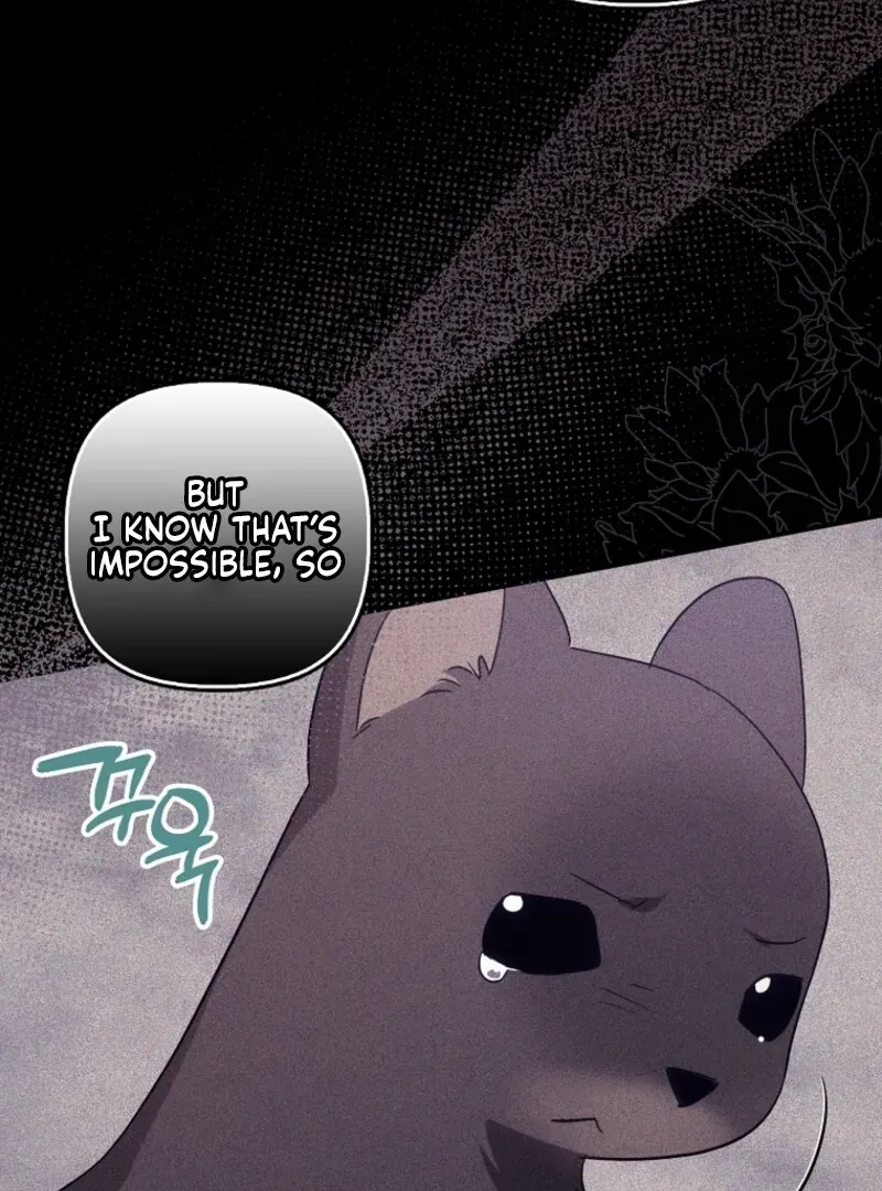 Catherine's Key to a Happy Life