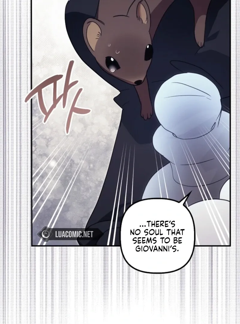 Catherine's Key to a Happy Life