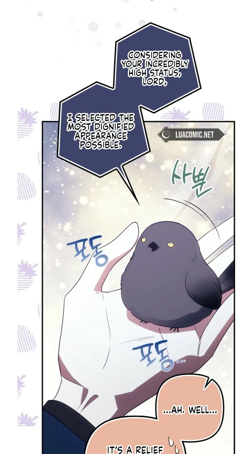 Catherine's Key to a Happy Life