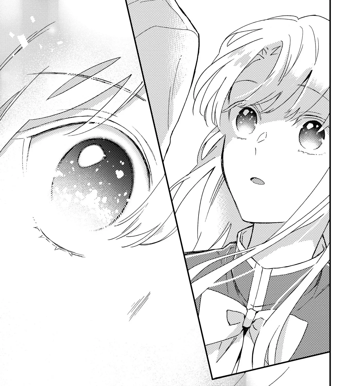 I’m Just a Mob Lady, So Please Stop Proposing, Your Highness!