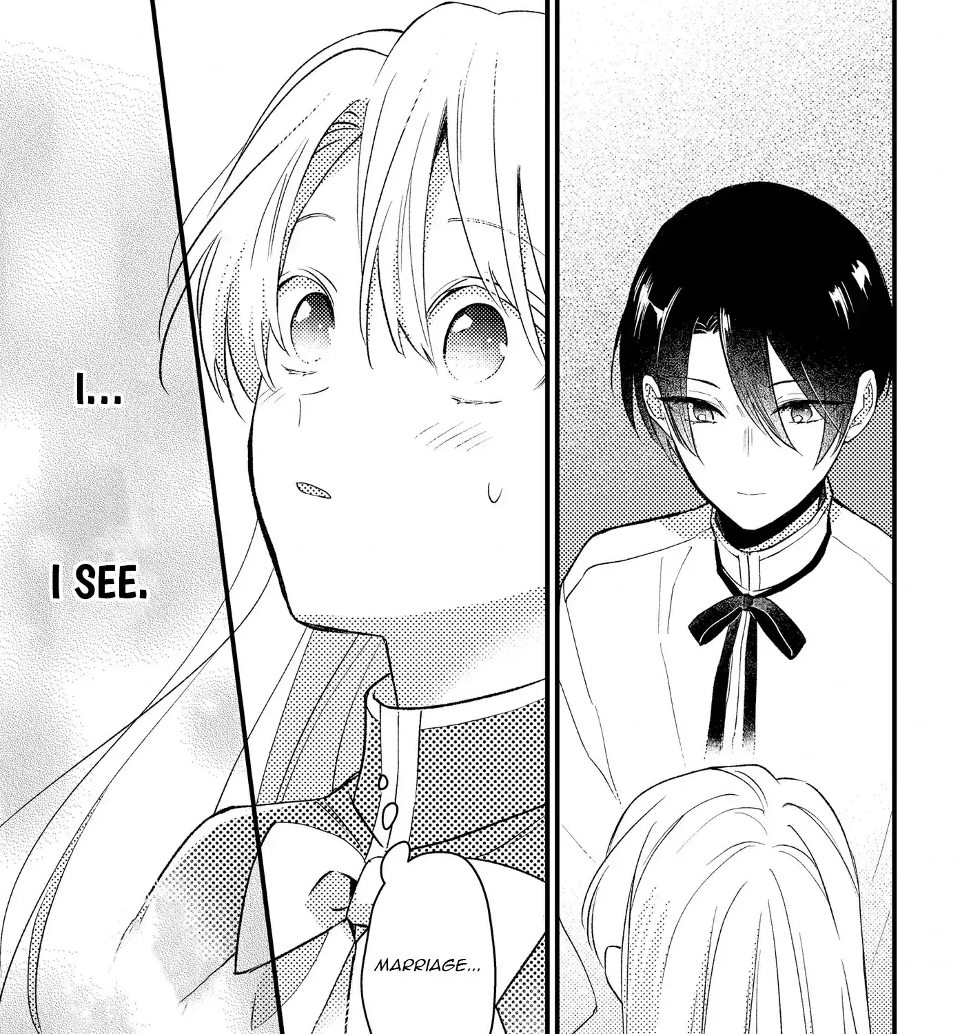 I’m Just a Mob Lady, So Please Stop Proposing, Your Highness!