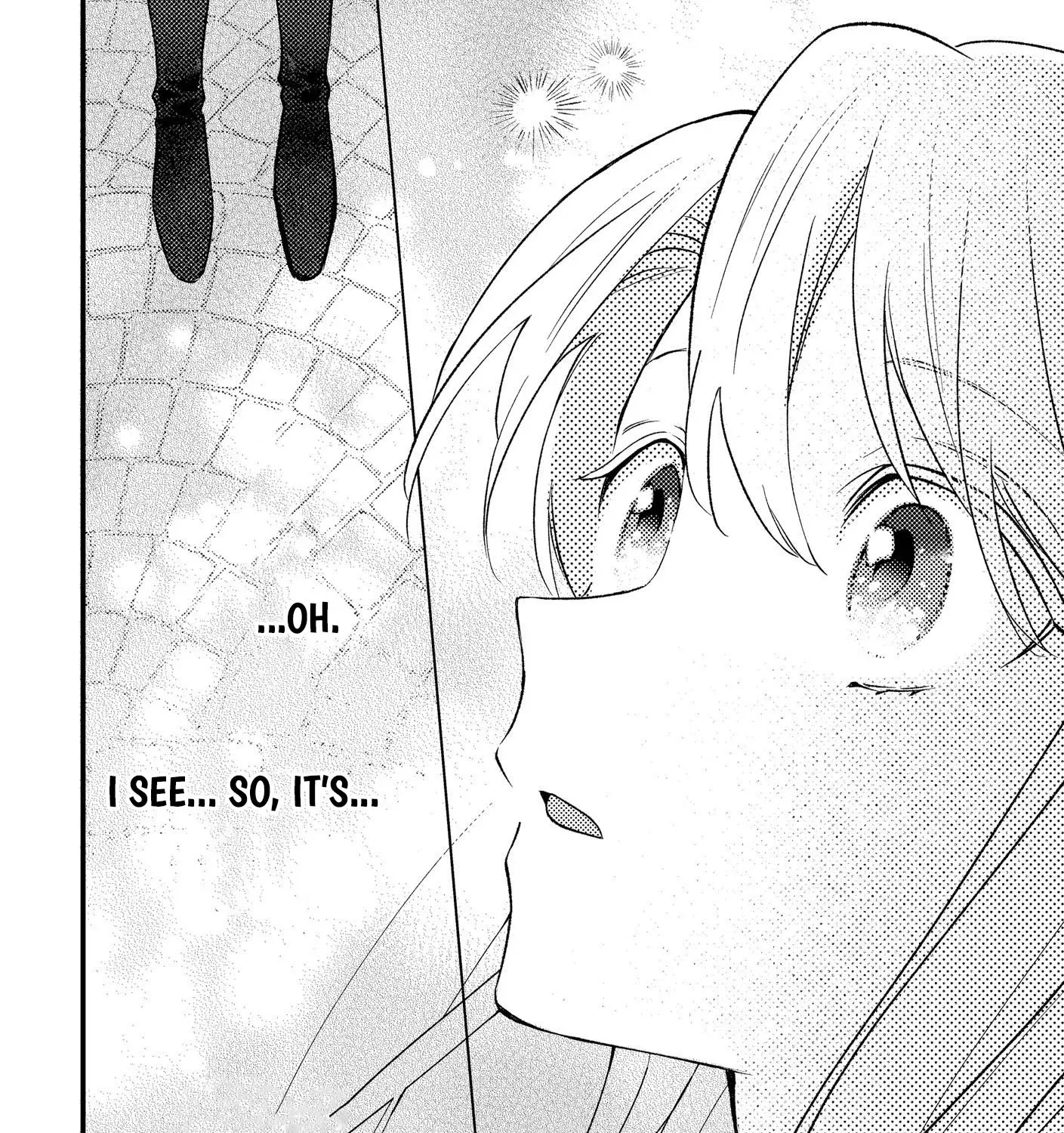 I’m Just a Mob Lady, So Please Stop Proposing, Your Highness!