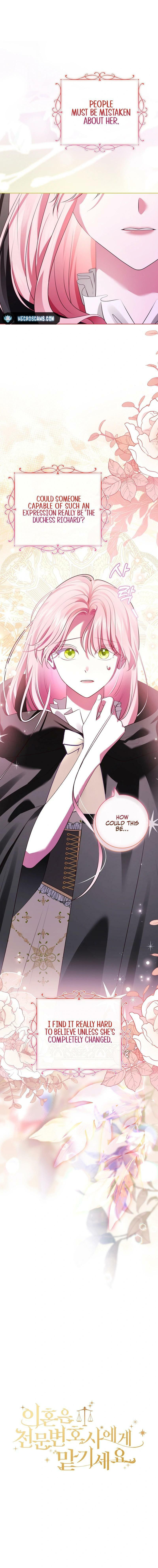 Leave the Divorce to a Professional Lawyer