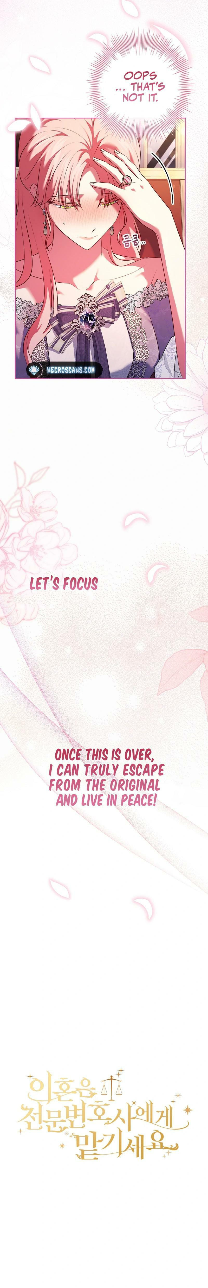 Leave the Divorce to a Professional Lawyer