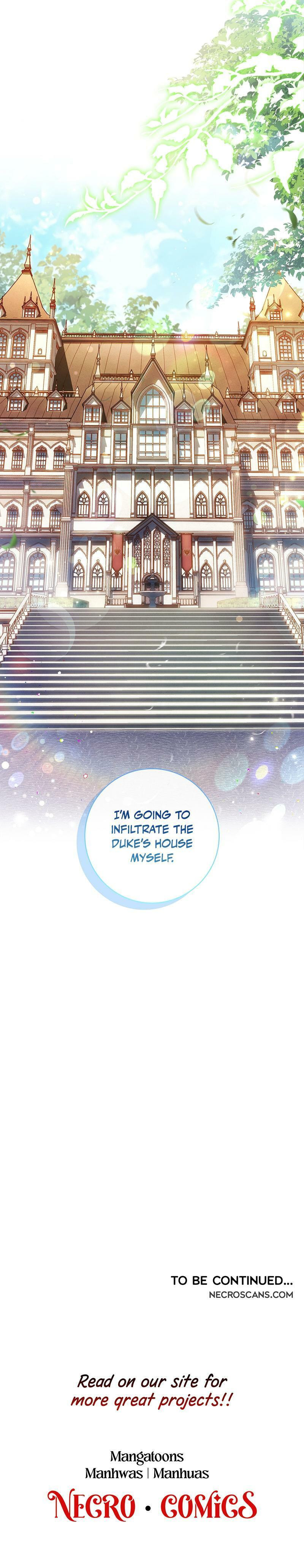 Leave the Divorce to a Professional Lawyer