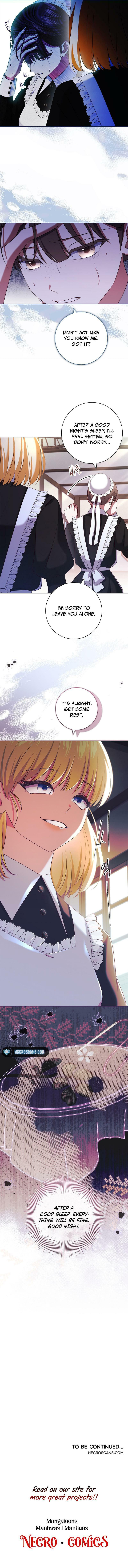 Leave the Divorce to a Professional Lawyer