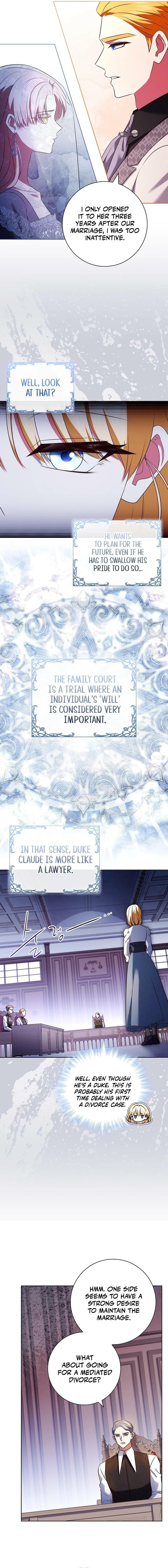 Leave the Divorce to a Professional Lawyer