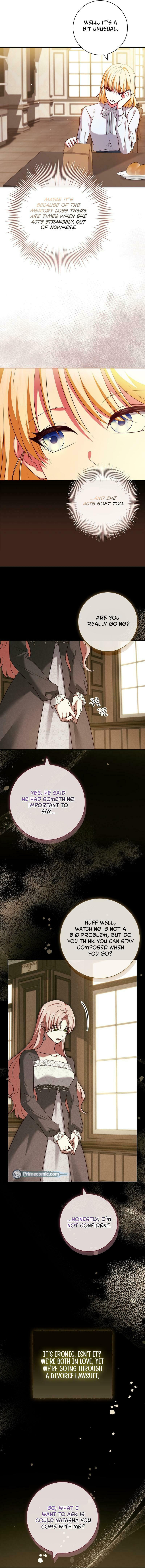 Leave the Divorce to a Professional Lawyer