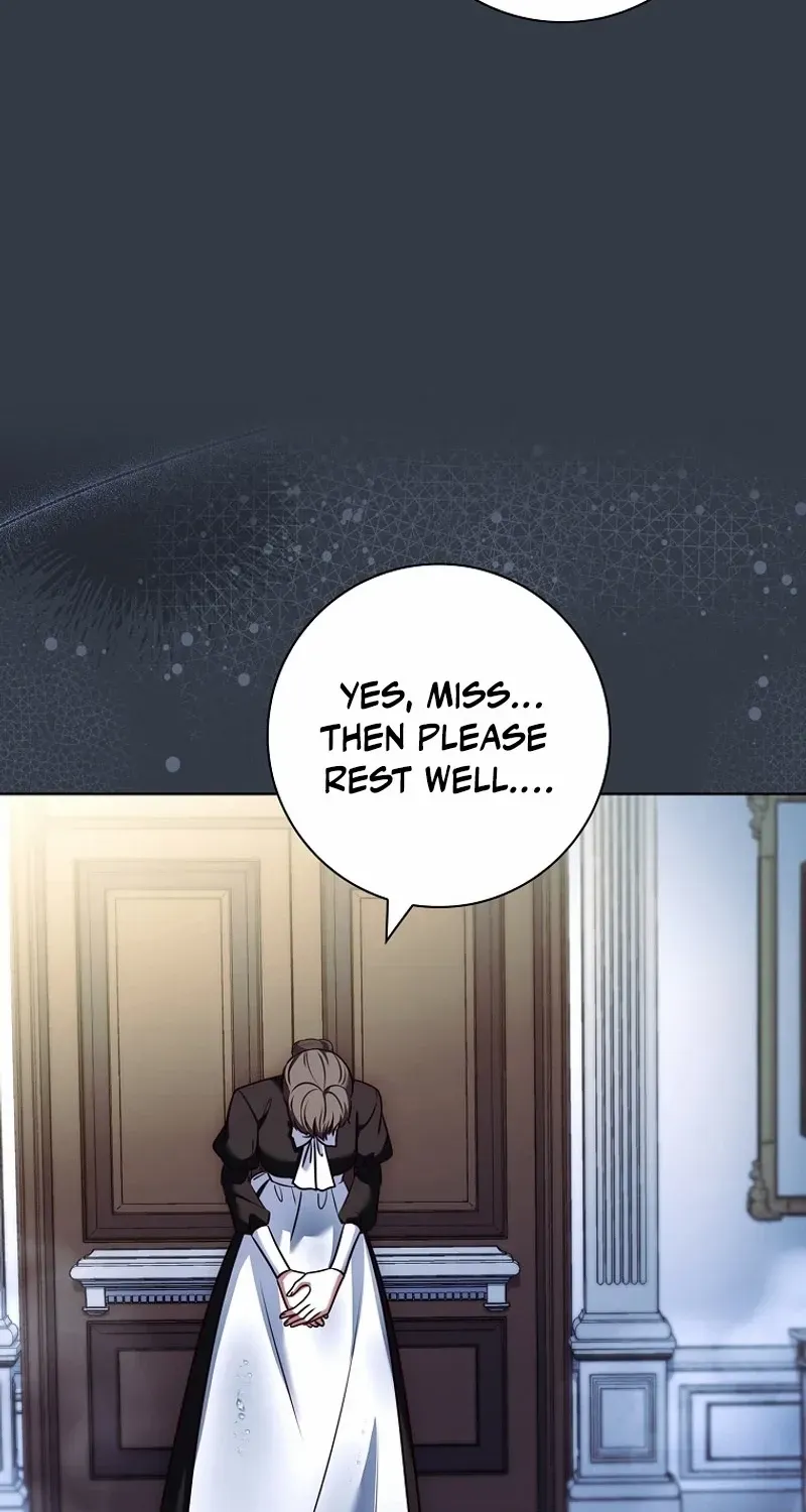 Leave the Divorce to a Professional Lawyer