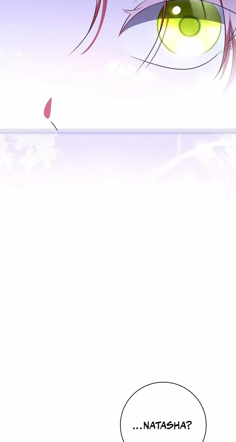 Leave the Divorce to a Professional Lawyer