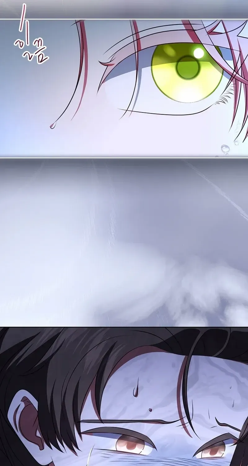 Leave the Divorce to a Professional Lawyer