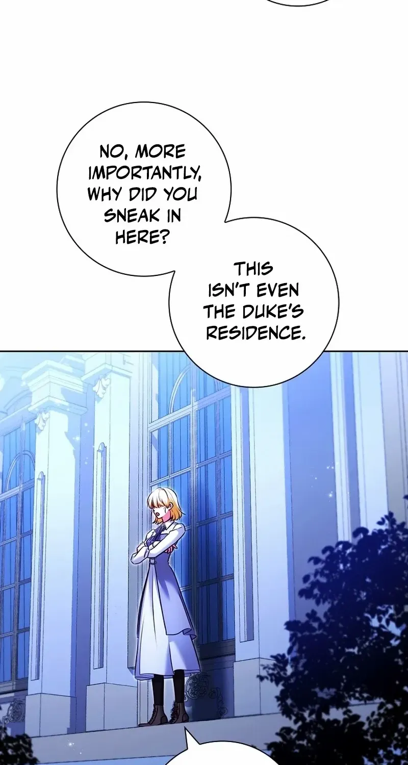 Leave the Divorce to a Professional Lawyer