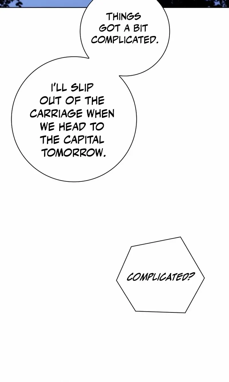 Leave the Divorce to a Professional Lawyer