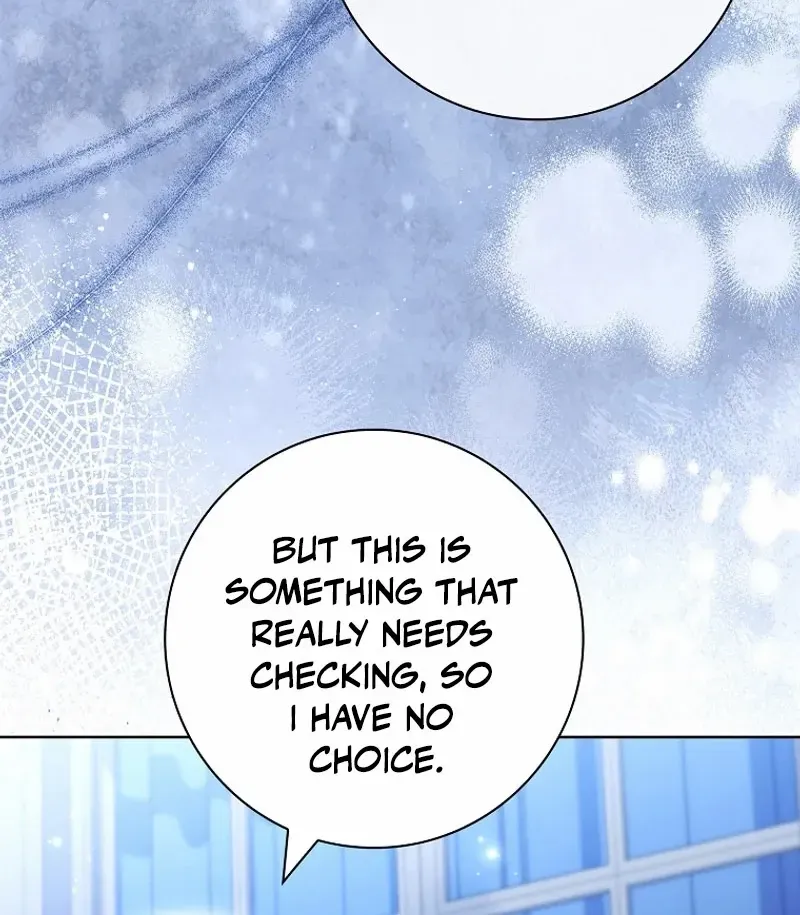 Leave the Divorce to a Professional Lawyer