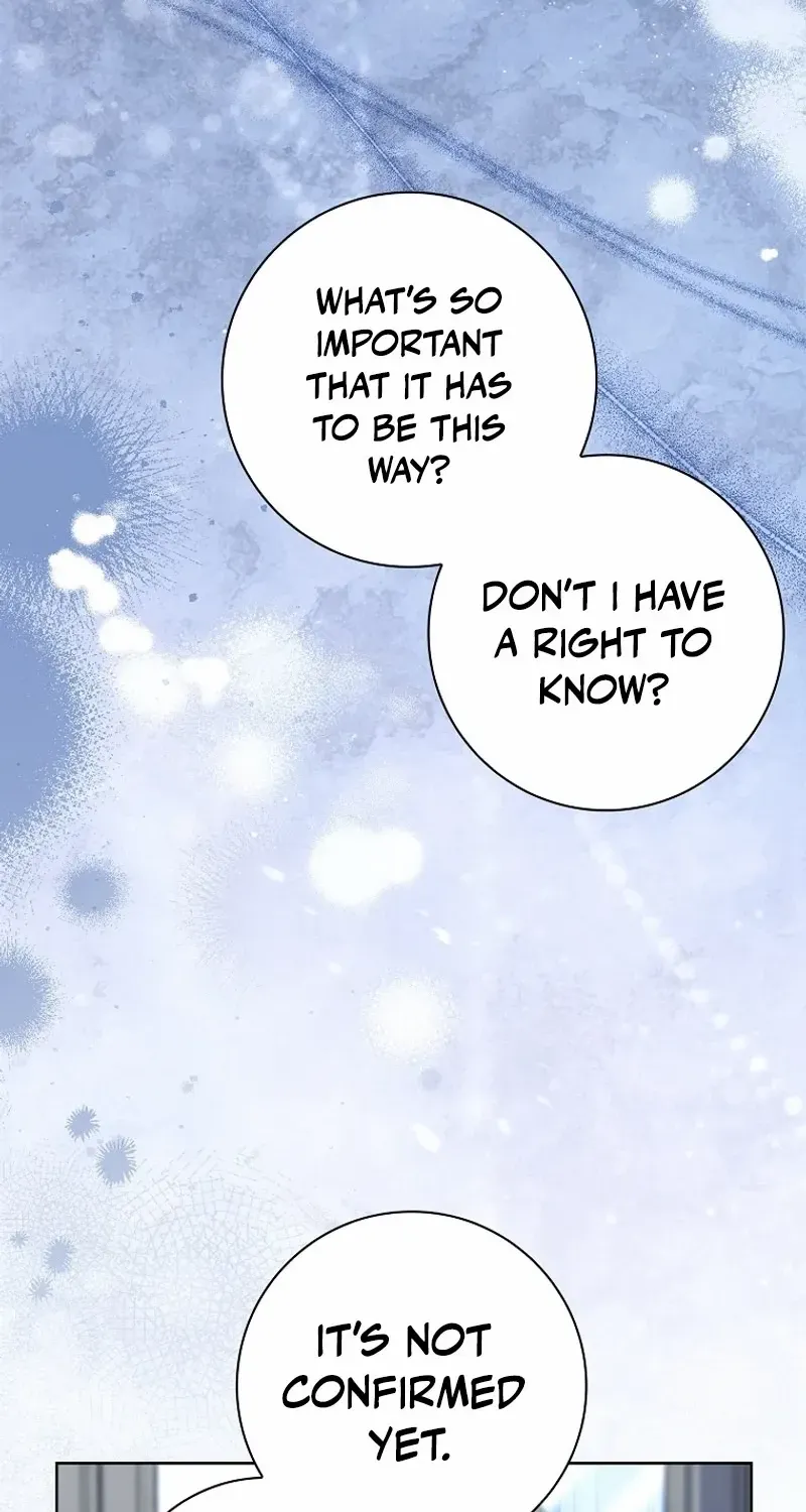 Leave the Divorce to a Professional Lawyer