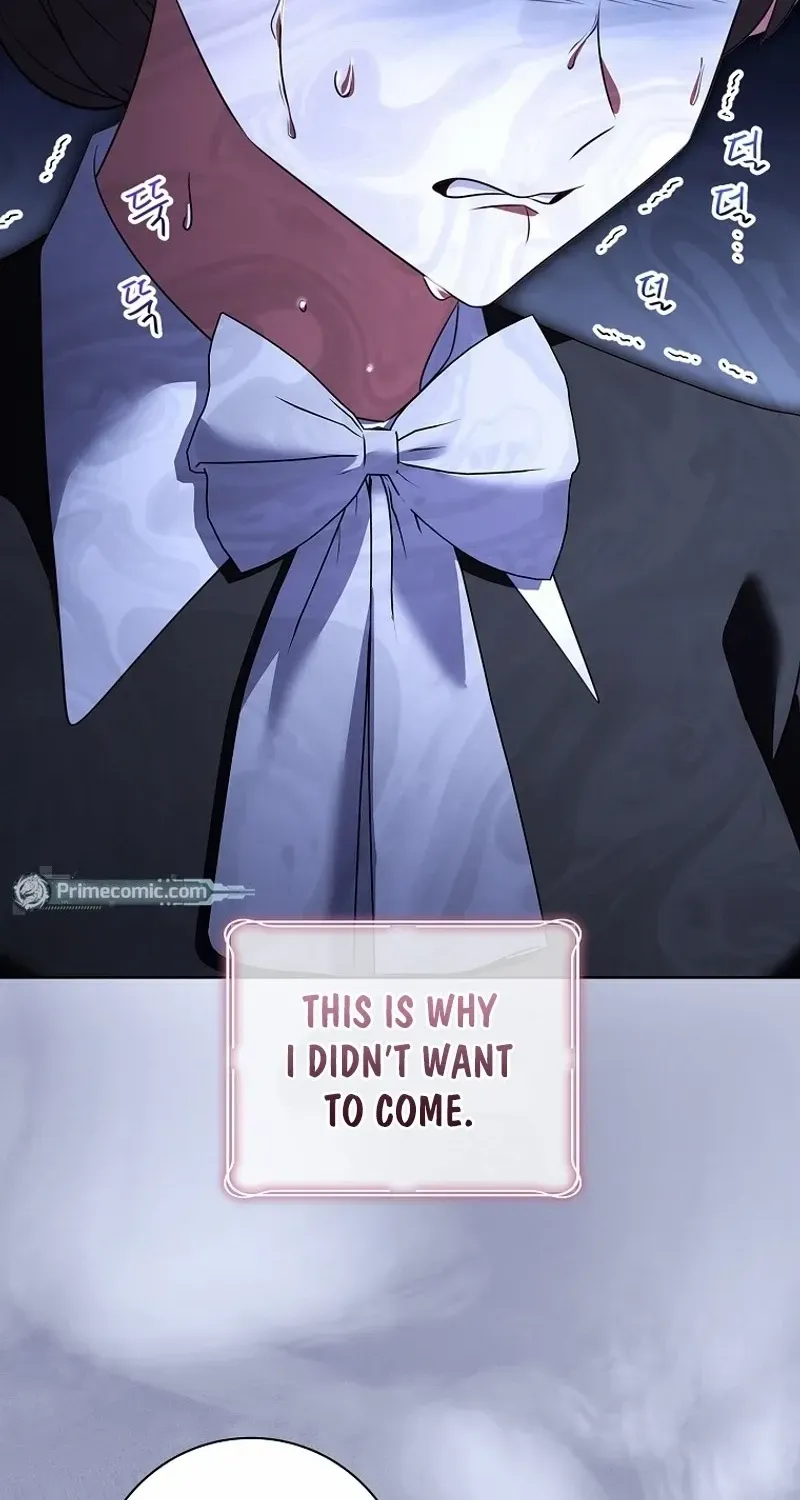 Leave the Divorce to a Professional Lawyer