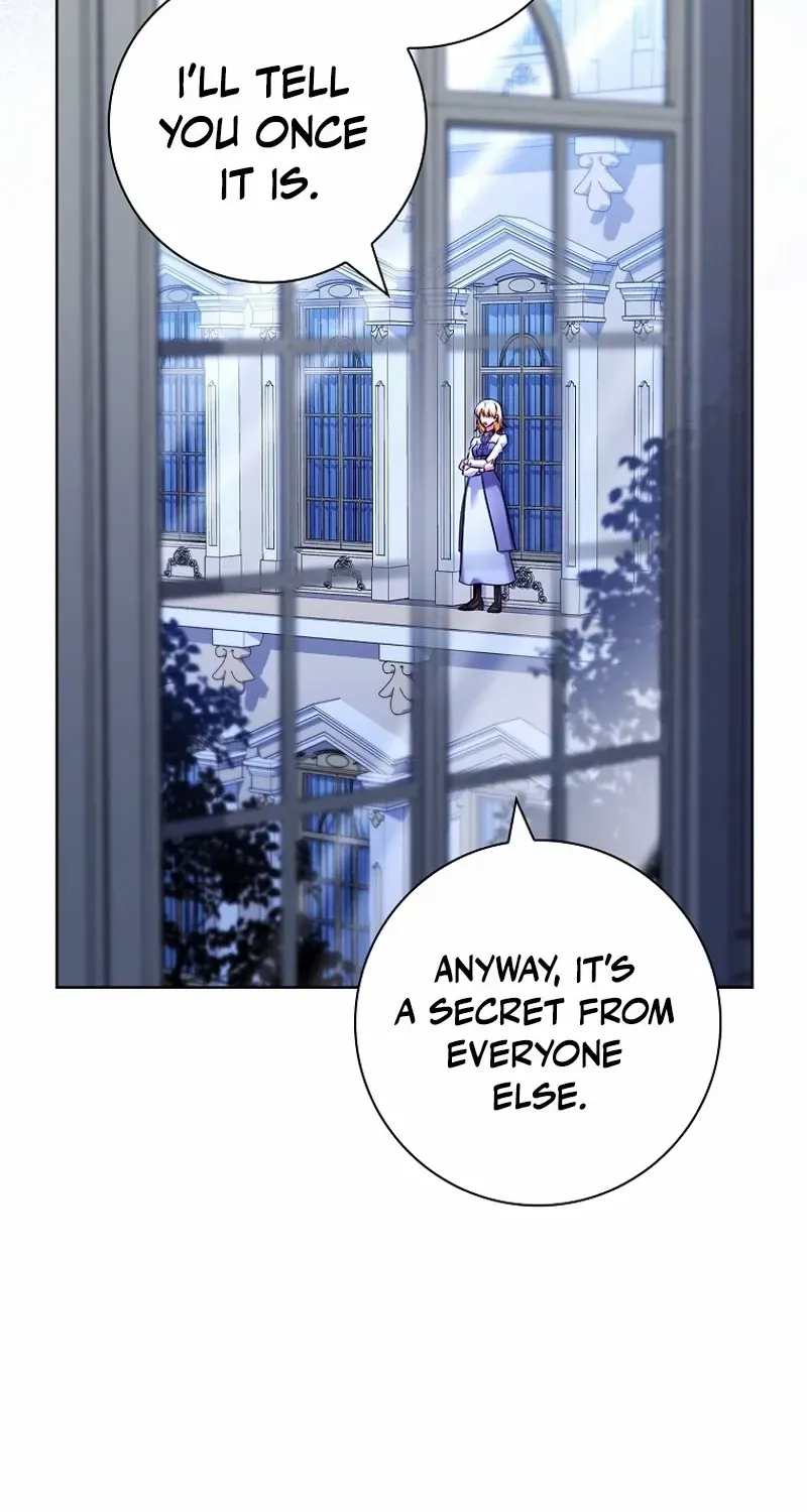 Leave the Divorce to a Professional Lawyer