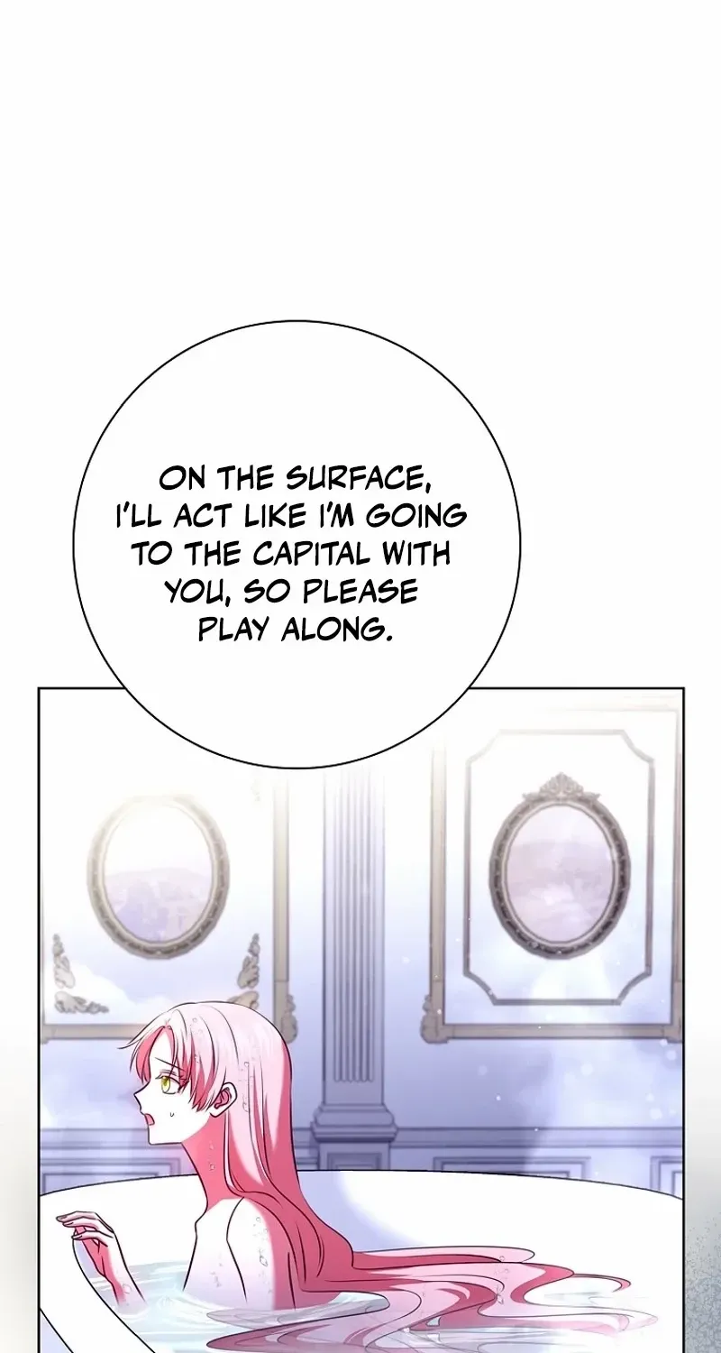 Leave the Divorce to a Professional Lawyer