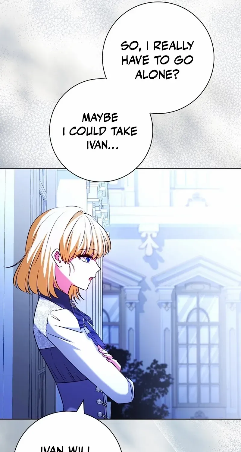 Leave the Divorce to a Professional Lawyer