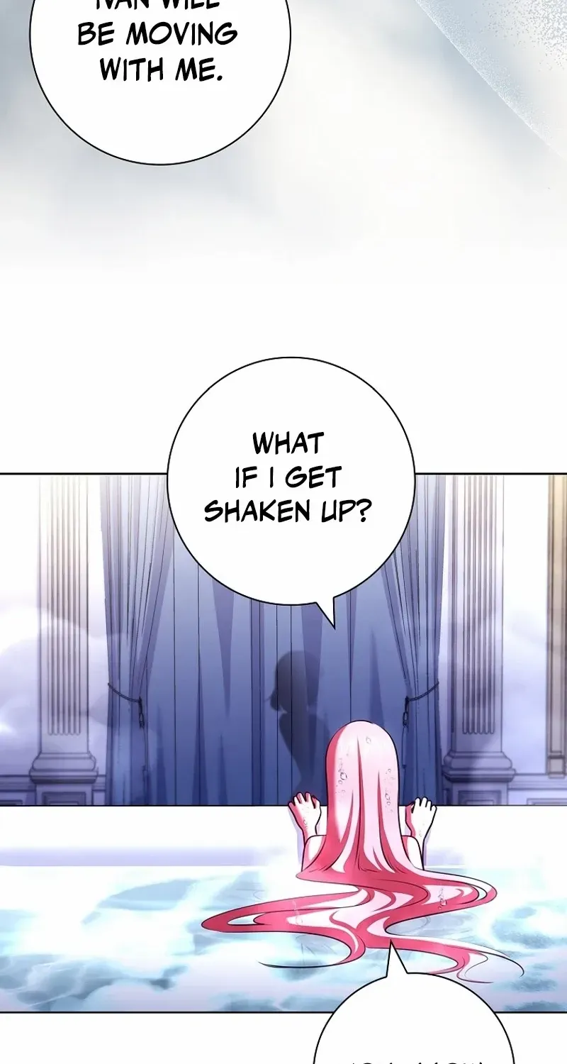 Leave the Divorce to a Professional Lawyer