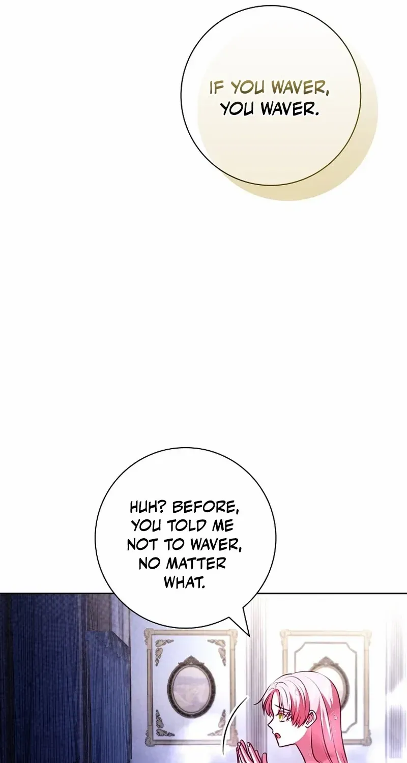 Leave the Divorce to a Professional Lawyer