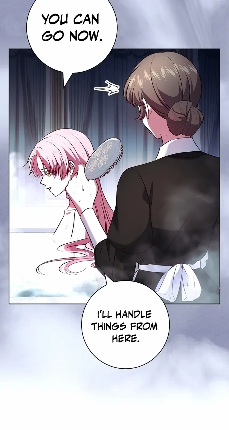 Leave the Divorce to a Professional Lawyer