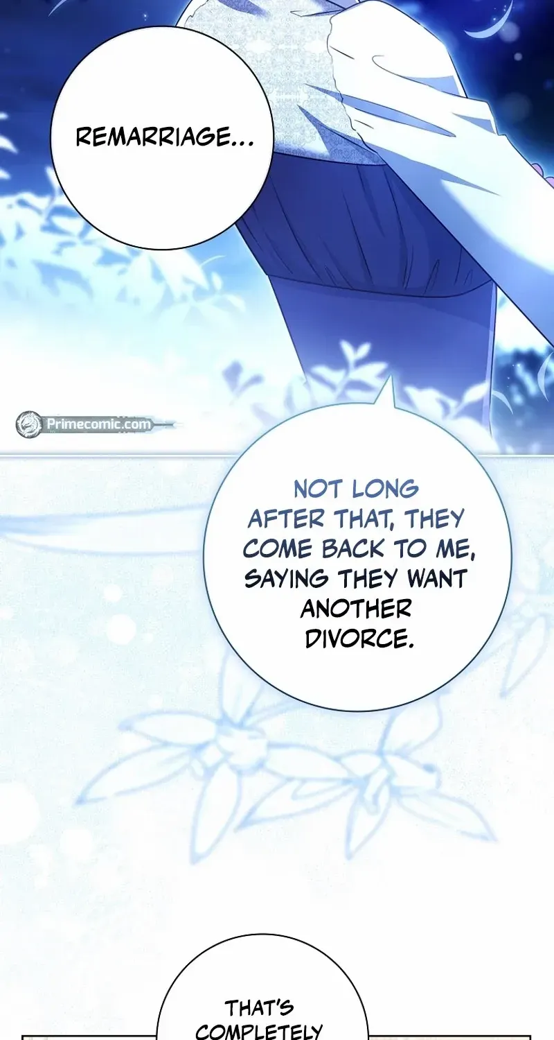 Leave the Divorce to a Professional Lawyer