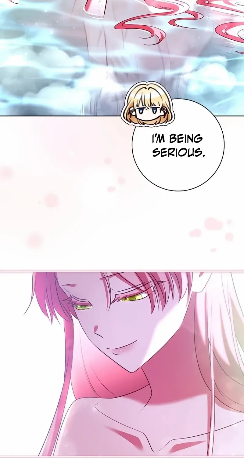 Leave the Divorce to a Professional Lawyer