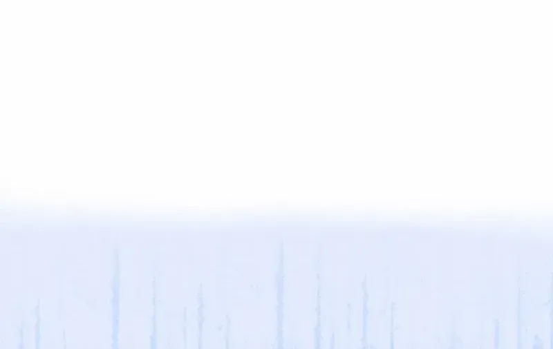 Leave the Divorce to a Professional Lawyer