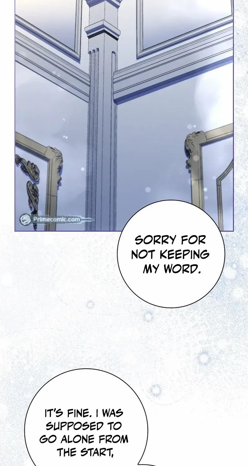 Leave the Divorce to a Professional Lawyer