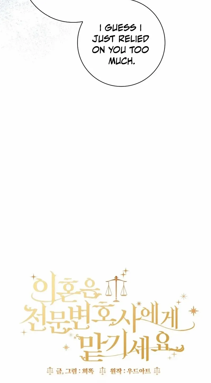 Leave the Divorce to a Professional Lawyer