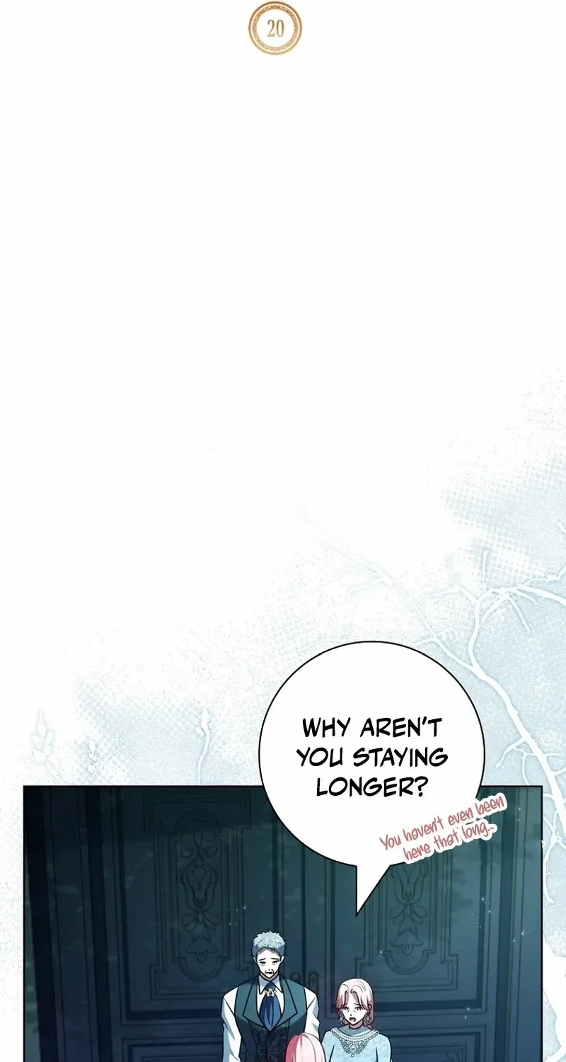 Leave the Divorce to a Professional Lawyer