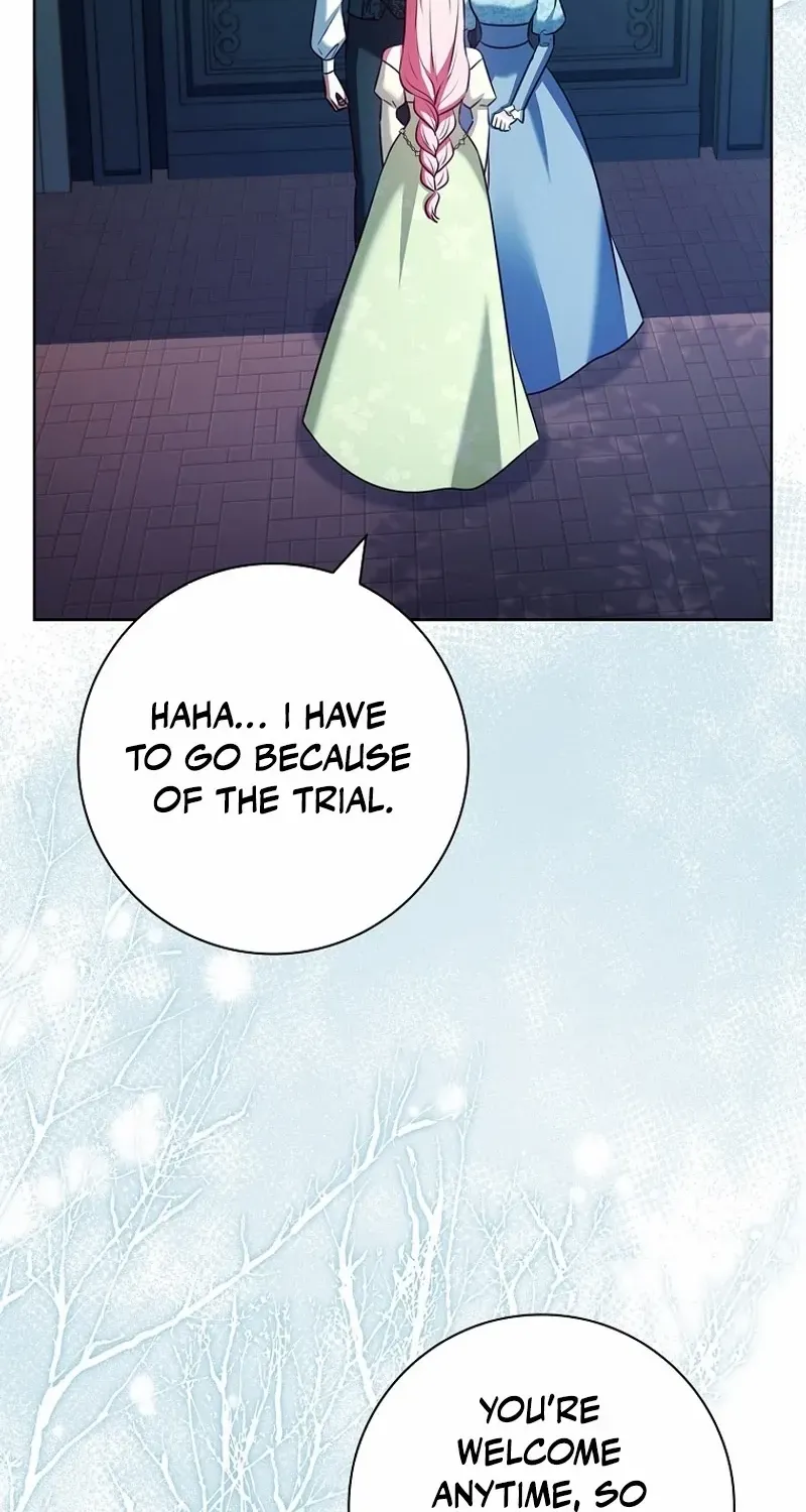 Leave the Divorce to a Professional Lawyer