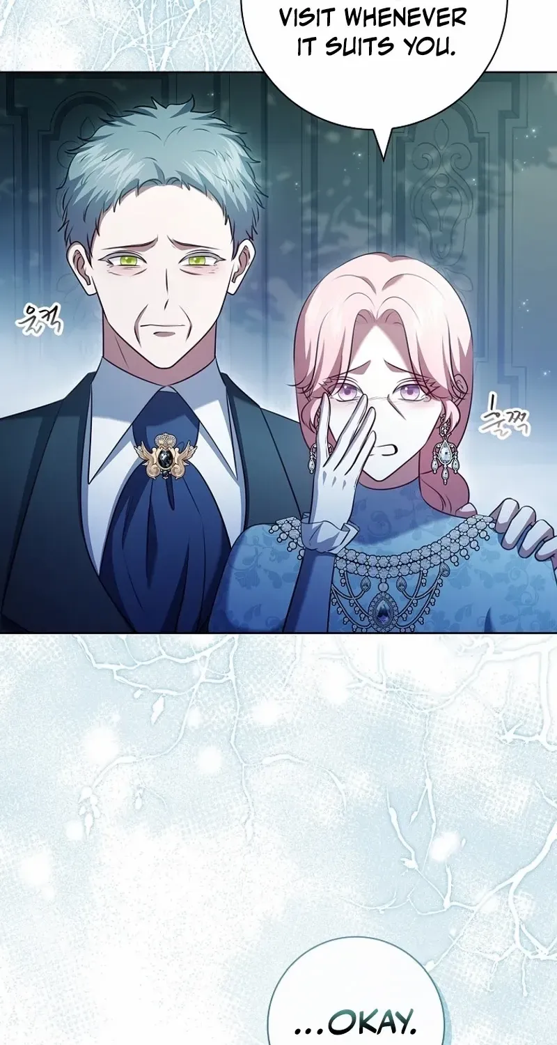 Leave the Divorce to a Professional Lawyer