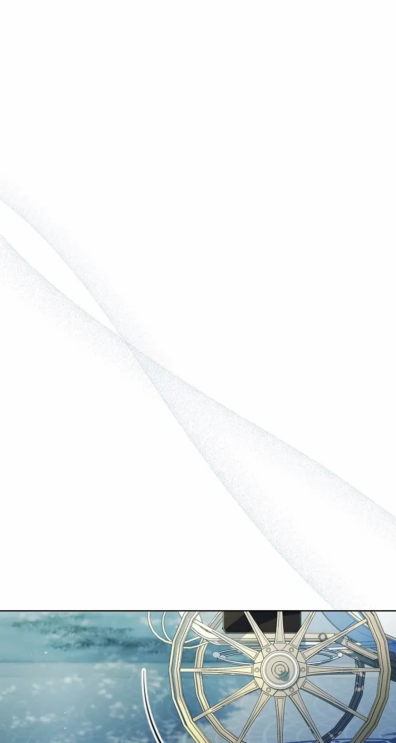 Leave the Divorce to a Professional Lawyer