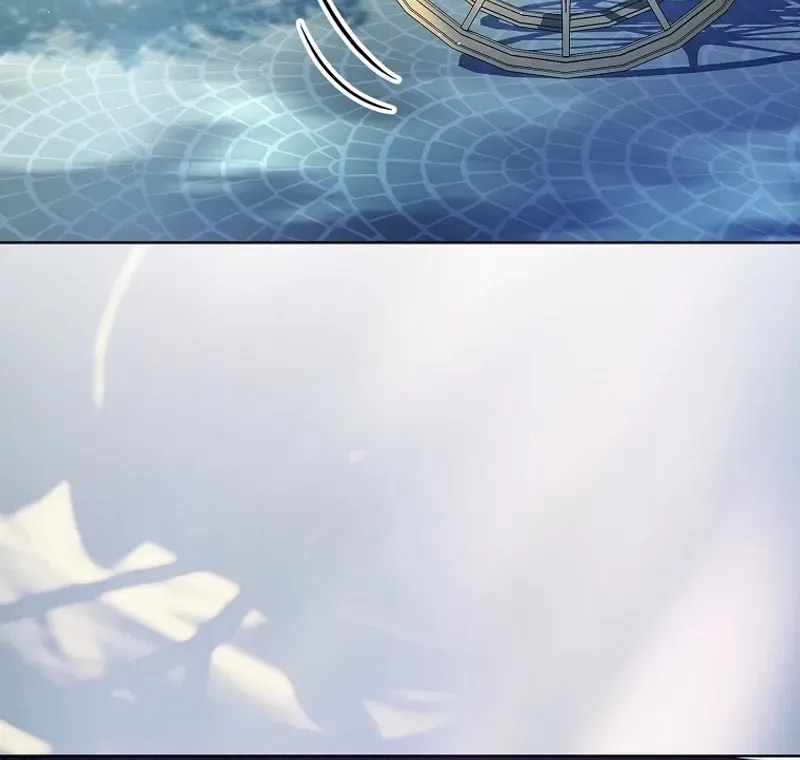 Leave the Divorce to a Professional Lawyer