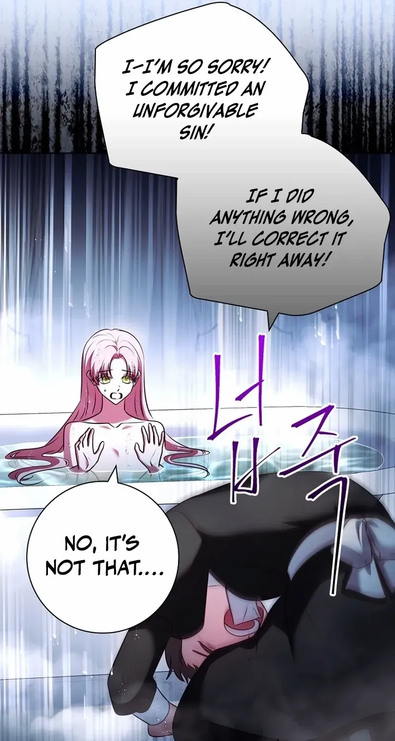 Leave the Divorce to a Professional Lawyer