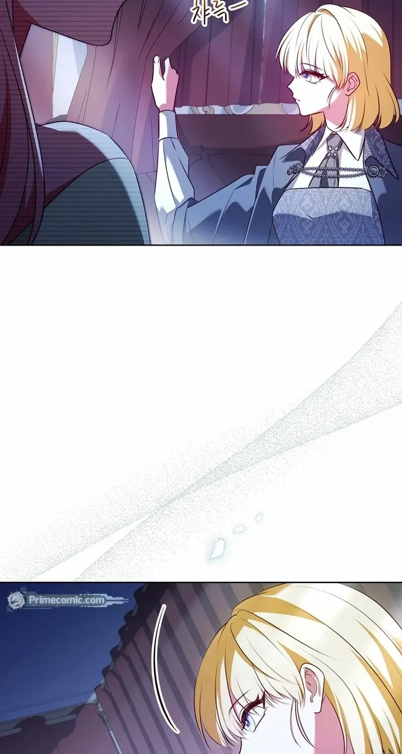 Leave the Divorce to a Professional Lawyer