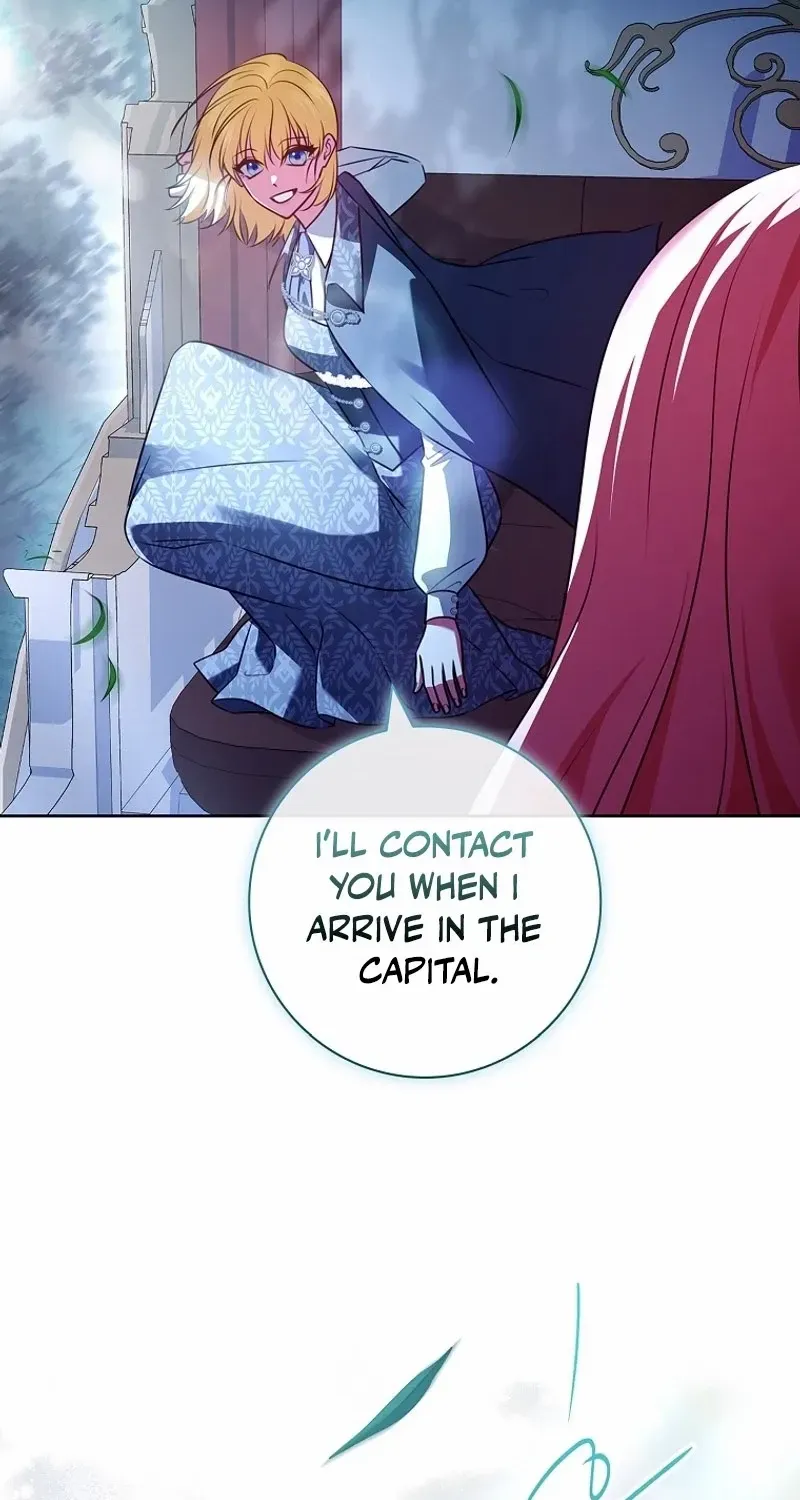 Leave the Divorce to a Professional Lawyer