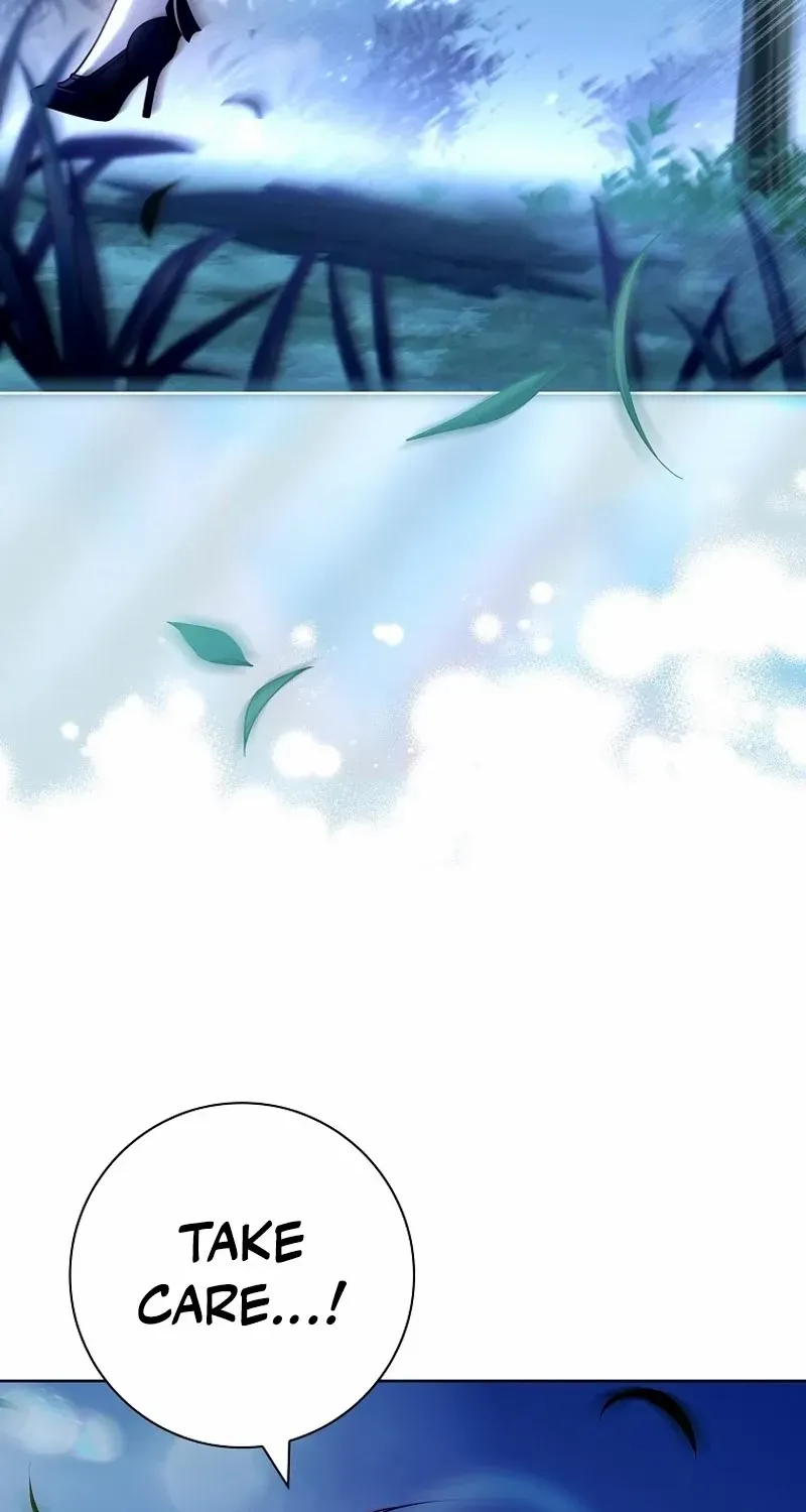 Leave the Divorce to a Professional Lawyer