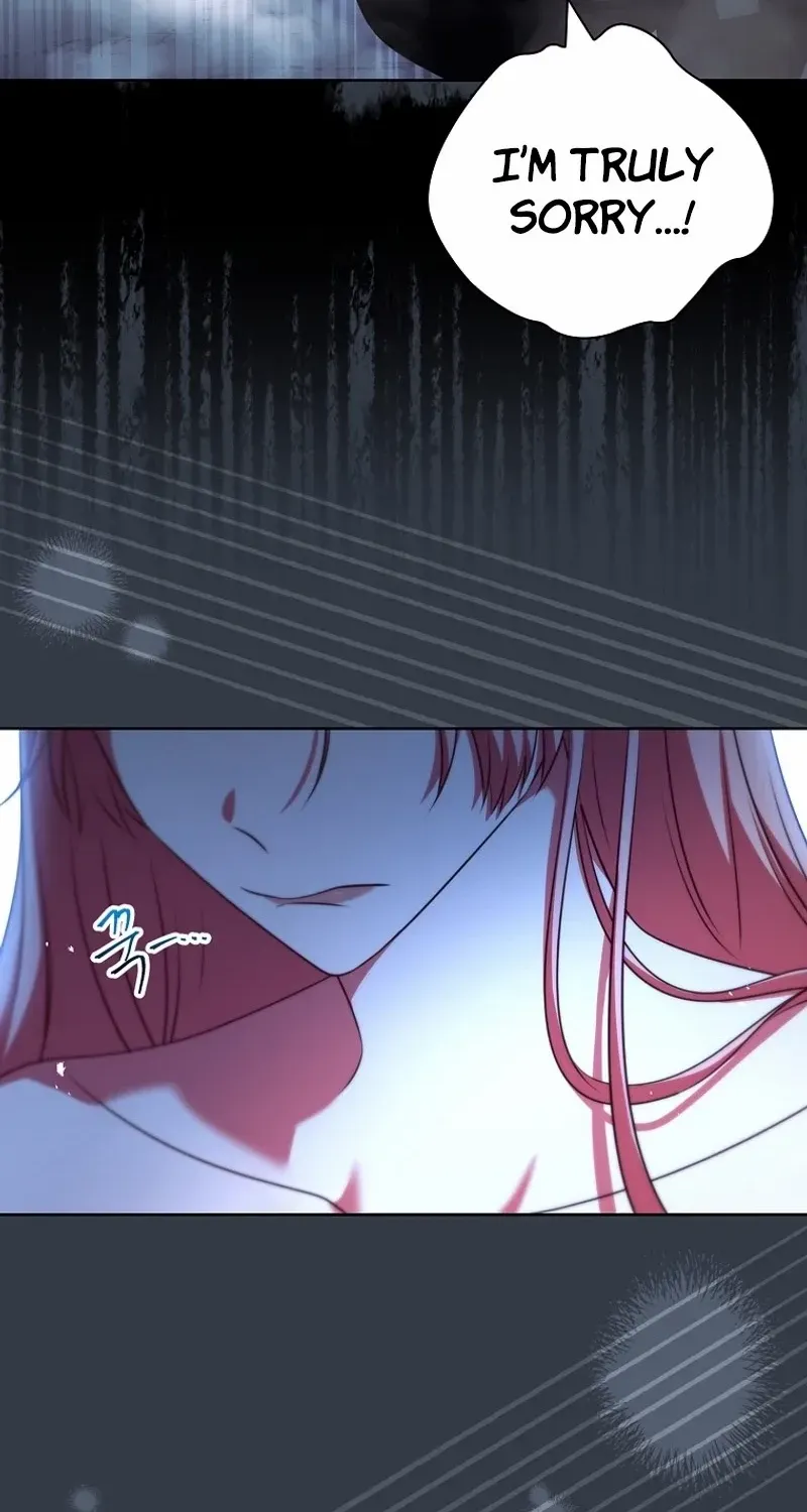 Leave the Divorce to a Professional Lawyer