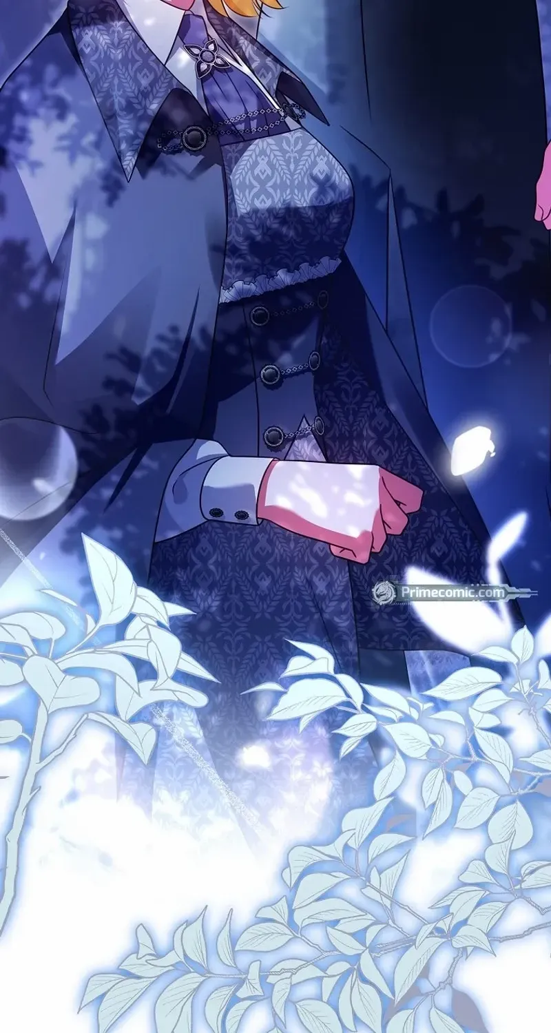 Leave the Divorce to a Professional Lawyer