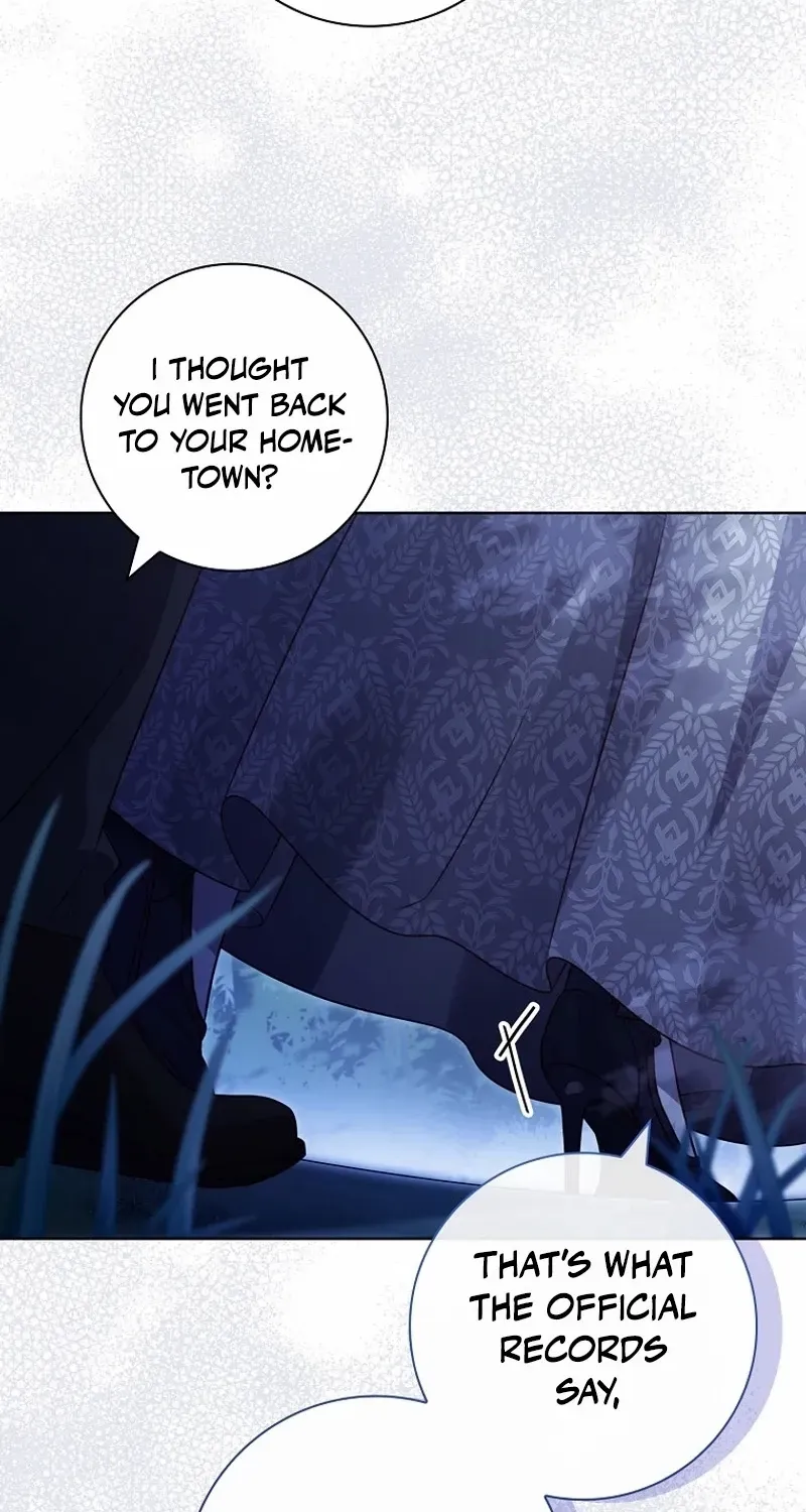 Leave the Divorce to a Professional Lawyer