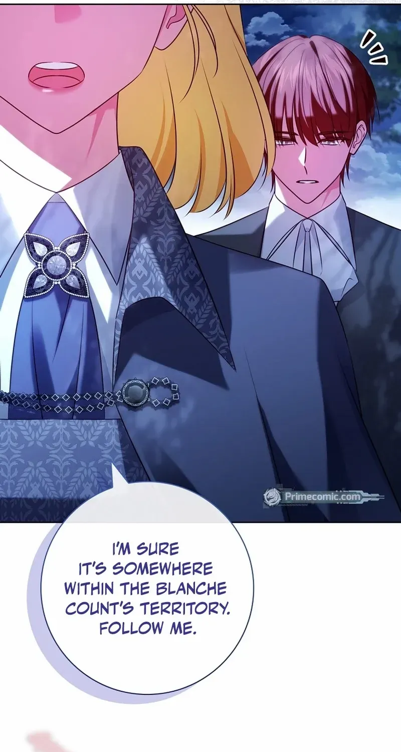 Leave the Divorce to a Professional Lawyer