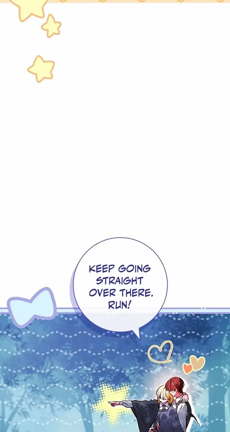 Leave the Divorce to a Professional Lawyer