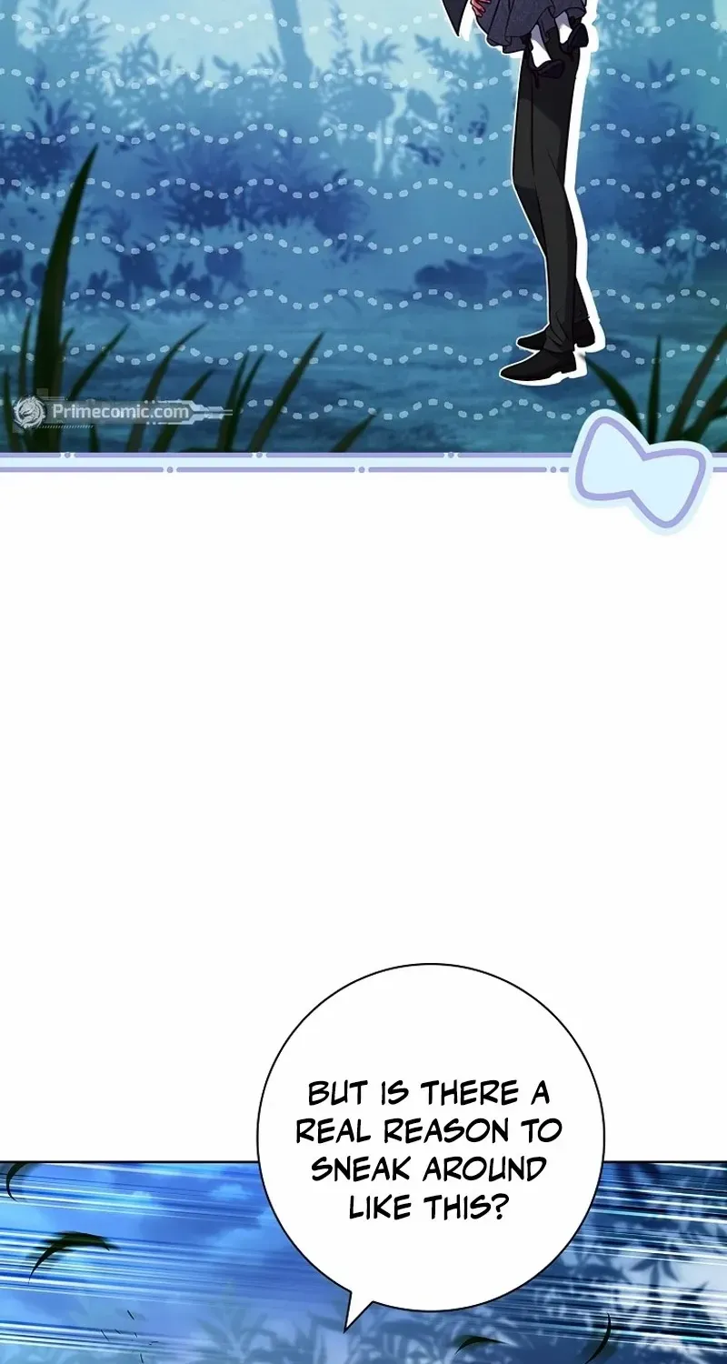 Leave the Divorce to a Professional Lawyer