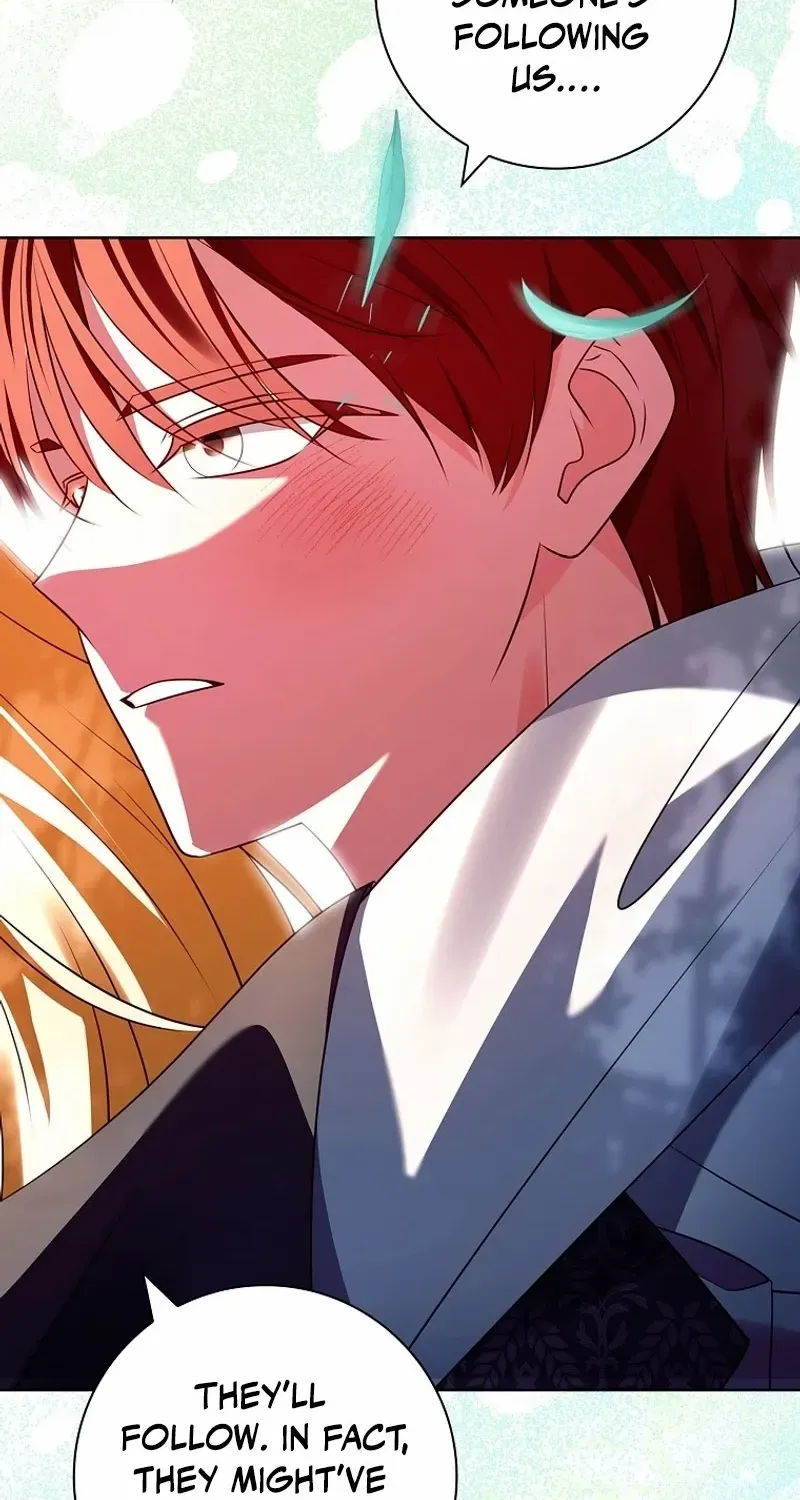 Leave the Divorce to a Professional Lawyer