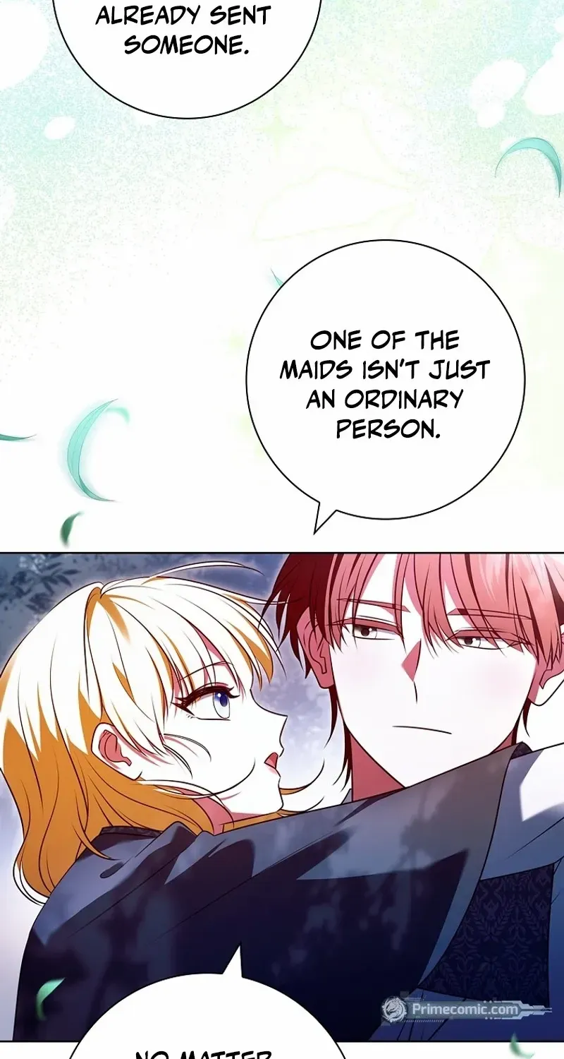 Leave the Divorce to a Professional Lawyer