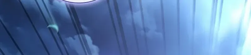 Leave the Divorce to a Professional Lawyer